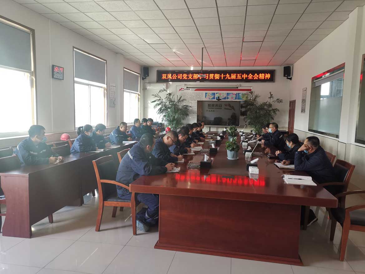 雙鳳公司黨支部學(xué)習(xí)貫徹黨的十九屆五中全會(huì)精神