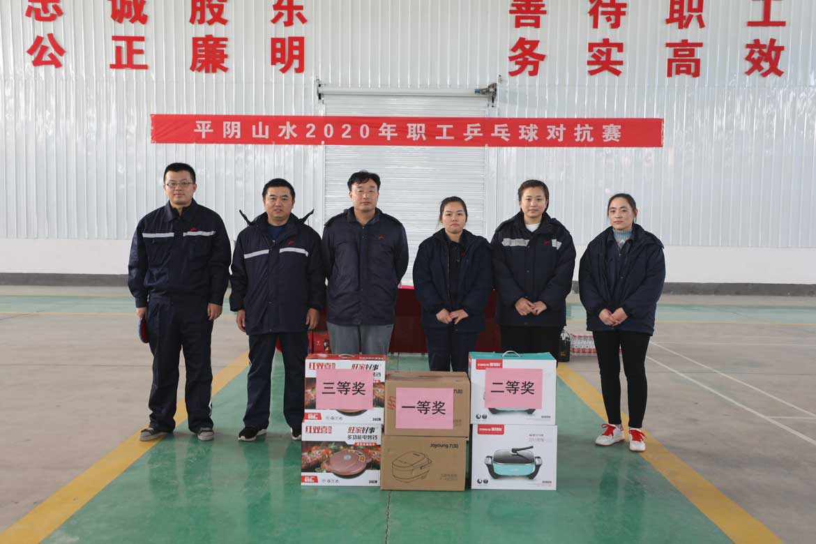平陰公司乒乓球