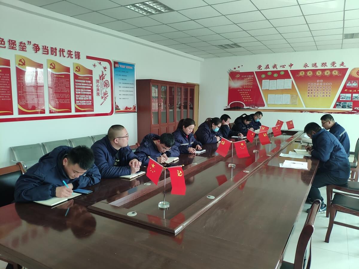 東明公司黨支部開展主題黨日活動-2