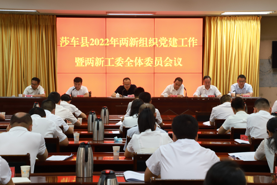 12-莎車公司在莎車縣2022年兩新組織黨建工作會上作典型經(jīng)驗介紹 (1)