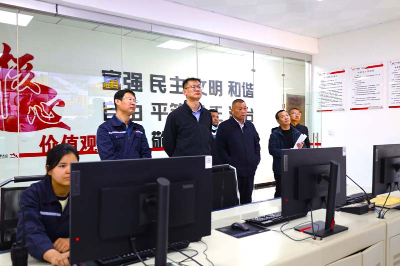 喀什地區(qū)應(yīng)急管理局局長葉飛一行到莎車公司調(diào)研