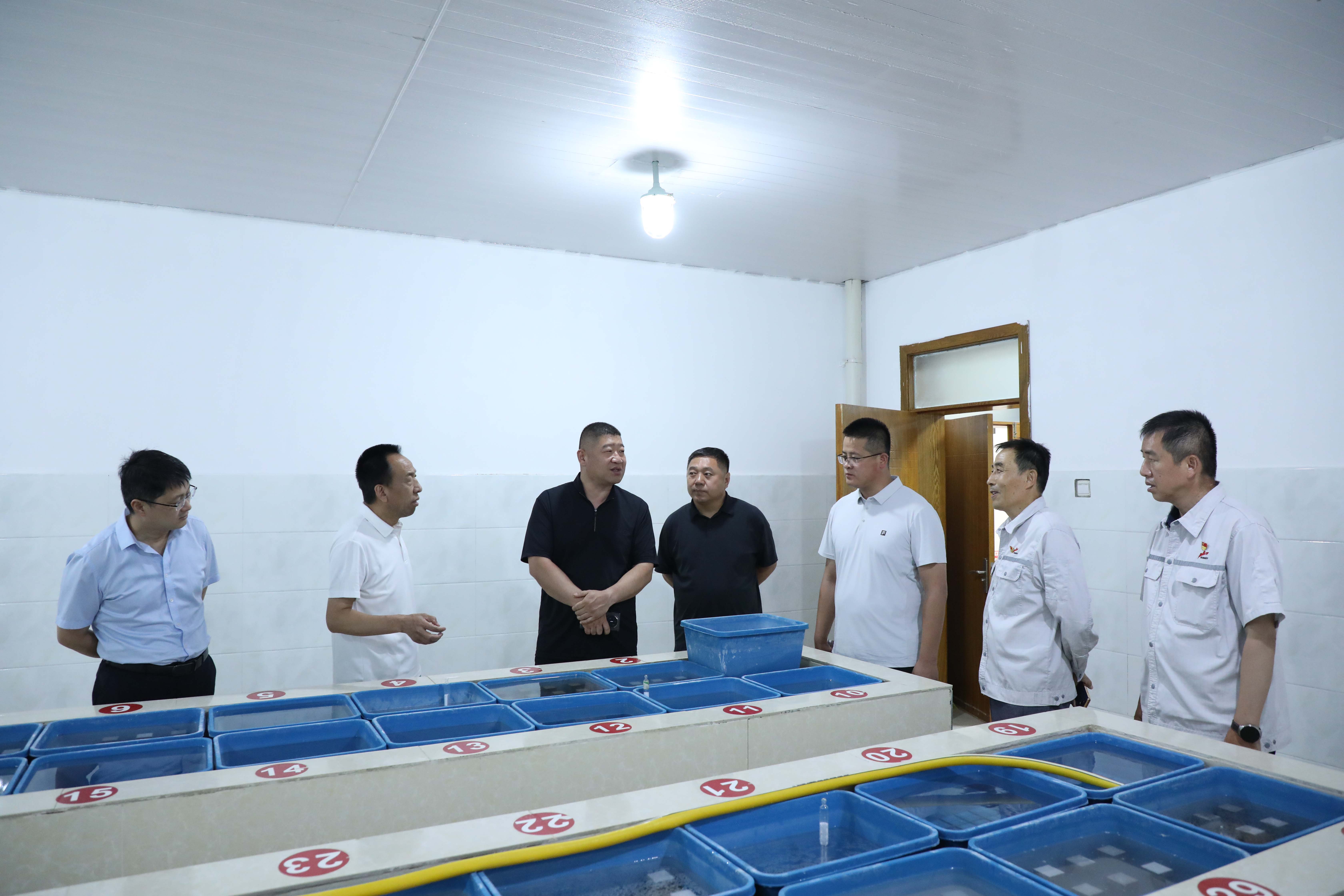 喀什地區(qū)招商局黨組成員、副局長逄子劍一行到疏勒公司調(diào)研 (1)