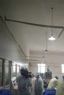 匠心質造，榮譽加冕——宜昌華爾食品公司獲評市食品藥品監督管理局“食品示范企業”