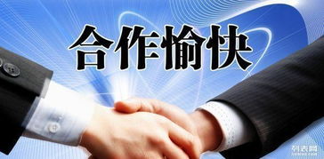 外貿公司與代賬機構財務交接指南 從注冊到出口退稅的全流程管理